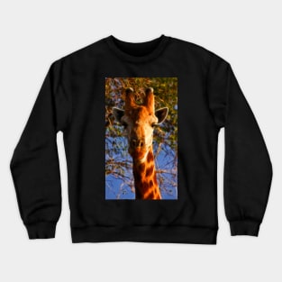 Kruger Giraffe Crewneck Sweatshirt